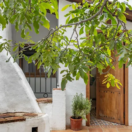 Apartamento Turísticos El Patio Del Nogal